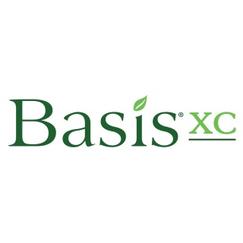 basis-xc
