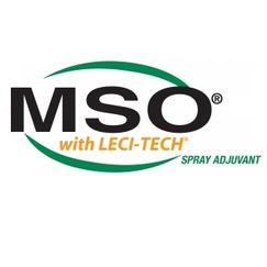 mso-with-leci-tech