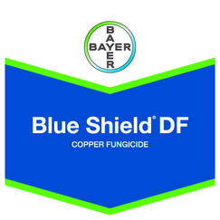 bayer-blue-shield-brandtag.jpg
